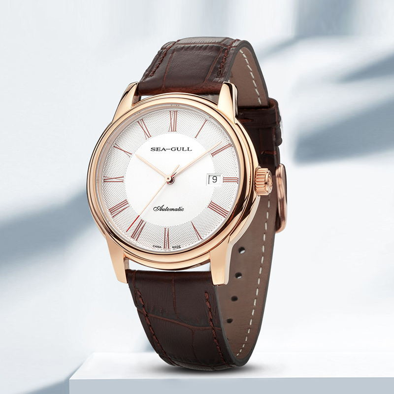 Hải Âu Cơ Nam Dây Kiểu Dáng Tố - đánh giá và giá Omega Watch Constellation
